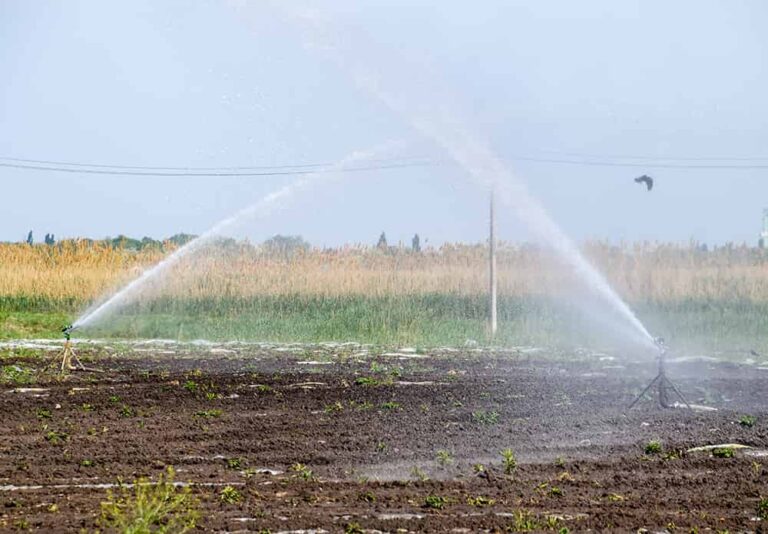 irrigation-system-field-melons-watering-fields-sprinkler-min